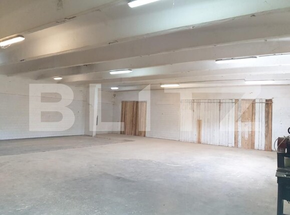 Spațiu industrial de închiriat Exterior Vest - 138763SII | BLITZ Satu Mare | Poza3
