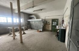 Hala de vanzare, 756mp construiti, zona  Gherta Mica