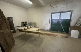 Hala de vanzare, 756mp construiti, zona  Gherta Mica