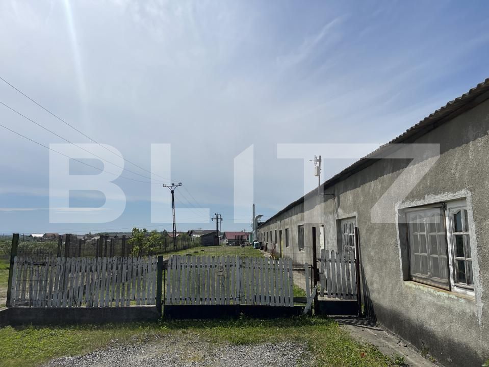 Spațiu industrial de vânzare Exterior Nord - 138875SVI | BLITZ Satu Mare | Poza3