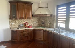 Casa de vanzare | 384mp construiti | Botiz
