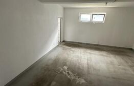 De vanzare Hala Industriala / Bulevardul Lucian Blaga / 220mp