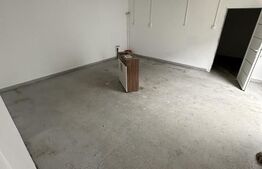 De vanzare Hala Industriala / Bulevardul Lucian Blaga / 220mp