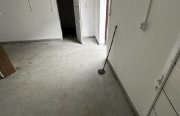 De vanzare Hala Industriala / Bulevardul Lucian Blaga / 220mp