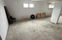 De vanzare Hala Industriala / Bulevardul Lucian Blaga / 220mp