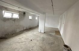 De vanzare Hala Industriala / Bulevardul Lucian Blaga / 220mp