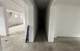 De vanzare Hala Industriala / Bulevardul Lucian Blaga / 220mp