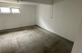 De vanzare Hala Industriala / Bulevardul Lucian Blaga / 220mp