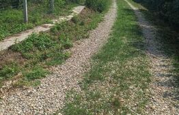 Teren în Viile SM cu casa din vaioaga, 1442mp 