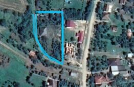 Teren în Viile SM cu casa din vaioaga, 1442mp 