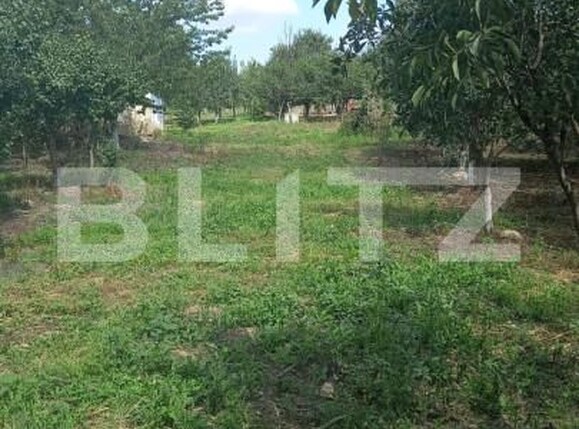 Teren de vânzare Sud-Est - 139208TV | BLITZ Satu Mare | Poza3