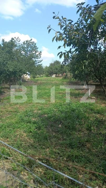 Teren de vânzare Sud-Est - 139208TV | BLITZ Satu Mare | Poza3