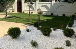 Vilă, 6 camere, 520 mp, zona Titulescu 