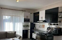 Apartament, 2 camere, zona Paulesti