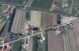 Teren Intravilan , 11500mp, zona Satmarel