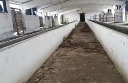 Oportunitate de investitie | 63.704mp teren | 6311mp construiti | Zona Halmeu