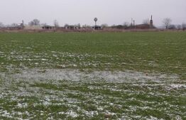 Oportunitate de investitie | 63.704mp teren | 6311mp construiti | Zona Halmeu