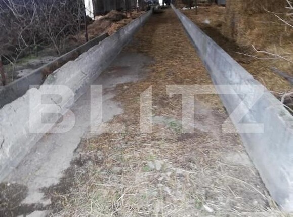 Teren de vânzare Exterior Nord - 139545TV | BLITZ Satu Mare | Poza3