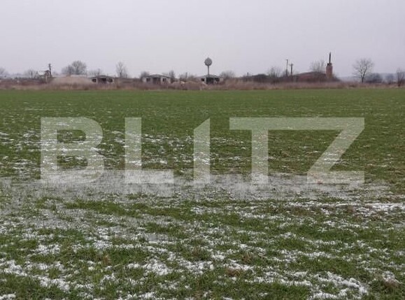 Teren de vânzare Exterior Nord - 139545TV | BLITZ Satu Mare | Poza6