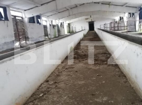 Teren de vânzare Exterior Nord - 139545TV | BLITZ Satu Mare | Poza2