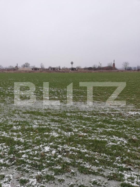 Teren de vânzare Exterior Nord - 139545TV | BLITZ Satu Mare | Poza6