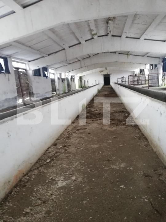 Teren de vânzare Exterior Nord - 139545TV | BLITZ Satu Mare | Poza2