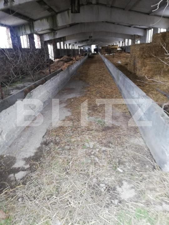 Teren de vânzare Exterior Nord - 139545TV | BLITZ Satu Mare | Poza3