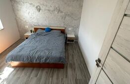 Casa superba in Botiz / 4 Camere / 516mp Teren / 154mp utili 