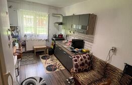 Apartament de vanzare, 25 mp, Zona Micro 14