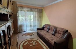 Apartament 2 camere , cu 2 balcoane și pivnița , zona Micro 17