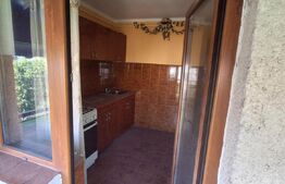 Apartament 2 camere , cu 2 balcoane și pivnița , zona Micro 17