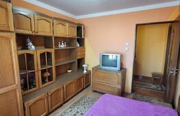 Apartament 2 camere , cu 2 balcoane și pivnița , zona Micro 17