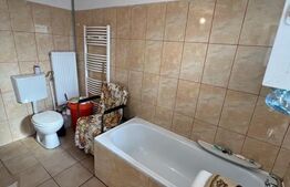 Pachet Imobiliar cu 2 Garsoniere și un Apartament în Asociație de locatari