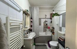 Apartament cu două dormitoare și mansardă