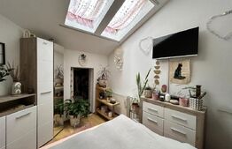 Apartament cu două dormitoare și mansardă