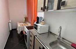 Apartament 2 camere ,50 mp utili, Strada Lunca Sighet