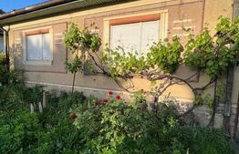 Casa de Vânzare în Livada, Potențial Comercial