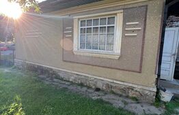 Casa de Vânzare în Livada, Potențial Comercial