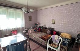 Casa de Vânzare în Livada, Potențial Comercial