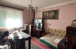 Casa de Vânzare în Livada, Potențial Comercial