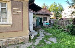 Casa de Vânzare în Livada, Potențial Comercial