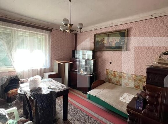 Casa de vânzare 2 camere Exterior Est - 139780CV | BLITZ Satu Mare | Poza6