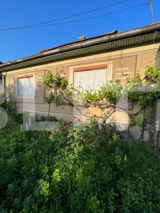 Casa de vânzare 2 camere Exterior Est - 139780CV | BLITZ Satu Mare | Poza2