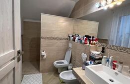 Casa moderna cu garaj si anexa (garsoniera), Str. Caprioarei 