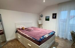 Casa moderna cu garaj si anexa (garsoniera), Str. Caprioarei 