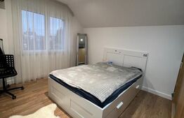 Casa moderna cu garaj si anexa (garsoniera), Str. Caprioarei 