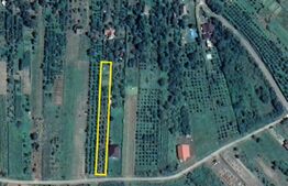 Teren intravilan | 1925mp | Viile Satu Mare