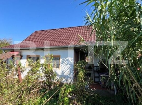 Casa de vânzare 2 camere Exterior Sud - 139792CV | BLITZ Satu Mare | Poza4