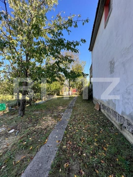 Casa de vânzare 2 camere Exterior Sud - 139792CV | BLITZ Satu Mare | Poza6