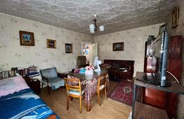 Casa cu etaj 200 mp + 40 de ari teren intravilan In Botiz strada principala 